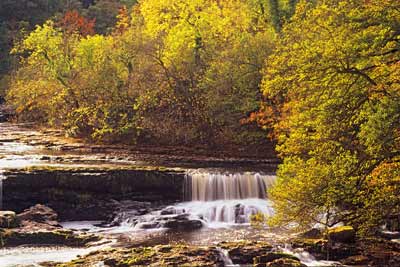 5274_Aysgarth Upper Falls in Autumn